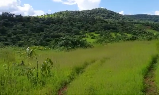 Land For Sale In Sangameshwar Ratnagiri