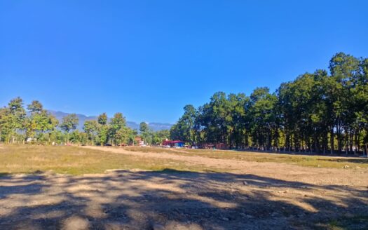 Gated Society NA Plots In Dehradun