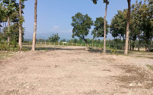 Plots For Sale in Pondha Dehradun