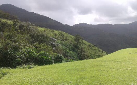 Luxury Villas by Dharni Lifescapes at New Mahabaleshwar, Satara