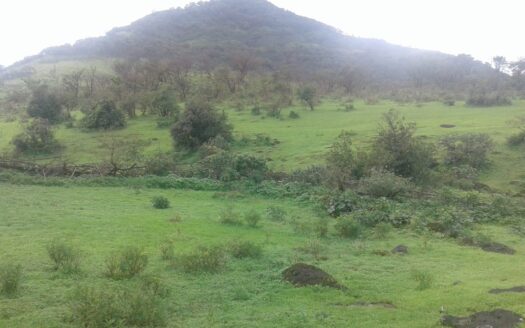 Luxury Villas by Dharni Lifescapes at New Mahabaleshwar, Satara