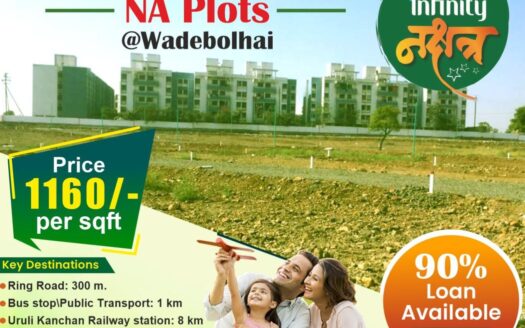 Infinity Nakshatra Plots For Sale In Shirsawadi Pune