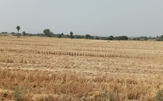 N.A Plots For Sale In Dhankhedi Indore