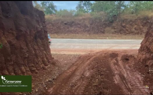 Agriculture Plot For Sale In Chandore Mangaon