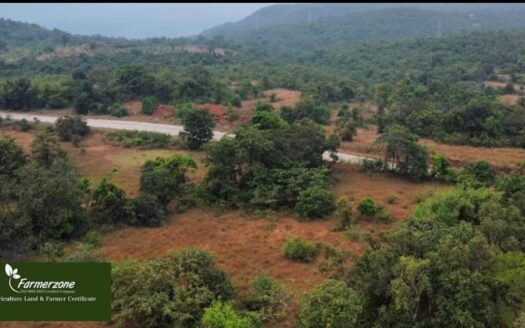 Agriculture Plot For Sale In Chandore Mangaon