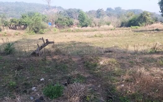 Agriculture Plot For Sale In Harihareshwar ,Raigad