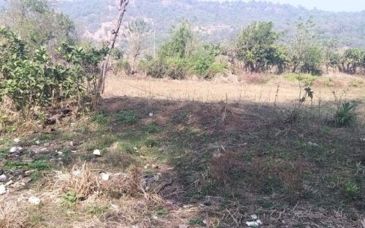 Agriculture Plot For Sale In Harihareshwar ,Raigad