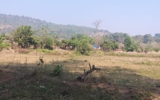 Agriculture Plot For Sale In Harihareshwar ,Raigad